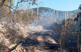Kaynaktan çıkan kıvılcım bahçe ve üzüm bağlarını...