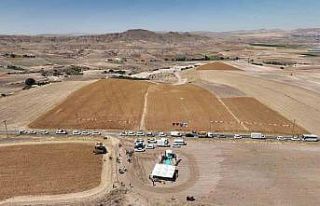 Kayseri’de aspir hasadı başladı