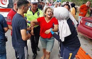 Kazada eşi ve kayınvalidesi ölen kadın sürücünün...