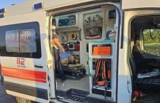 Kazada kendi araçlarında taşıdıkları asitten...