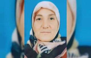 Kesilen ağacın altında kalan kadın hayatını...