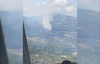 Kırkağaç’ta orman yangını