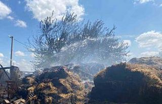Kırklareli’nde çıkan yangında 800 saman balyası...
