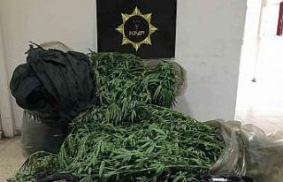 Kırklareli’nde uyuşturucu operasyonu: 20 gözaltı