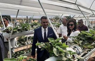 Kırsal kalkınmaya ’BEBKA’ desteği