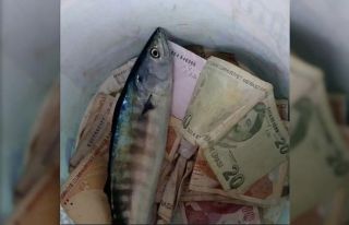 Kıyıköy’de balıkçının şansı tutuldu