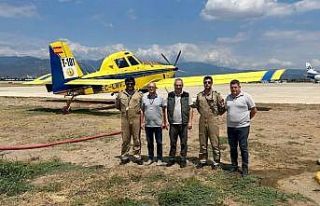 Koca Seyit, sarı kanatlara ev sahipliği yapıyor