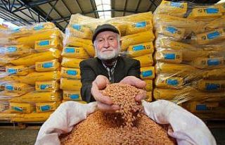 Kocaeli’de 4 bin çiftçiye tohum desteği