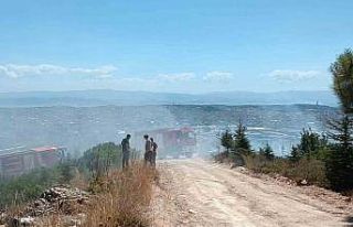 Kocaeli’de ağaçlık alanda çıkan yangında kundaklama...