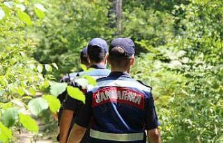 Kocaeli’de ormanlara girmek yasaklandı