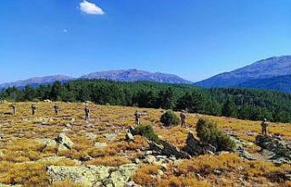 Komandolar orman yangınlarına karşı Akdağ’ın...