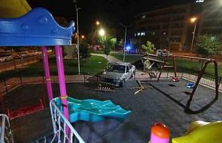 Kontrolden çıkan otomobil parka daldı