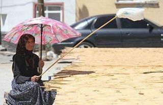 Konya’da ev hanımlarını yöresel tarhana telaşı...