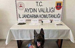 Köşk’te uyuşturucu tacirleri yakalandı: 2 gözaltı