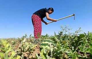 Köyün hanımağası artık tıp öğrencisi oldu