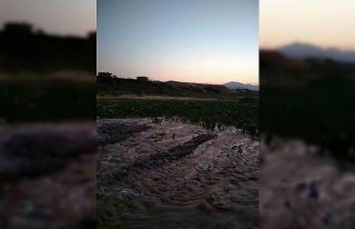 Kozluk’ta su kanalı patladı, tütün tarlası...