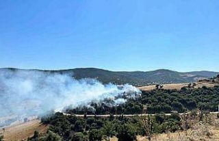 Kula’da orman yangını kontrol altına alındı