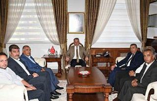 Kuru kayısıda 750 milyon dolar gelir hedefi