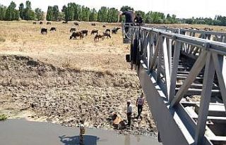 Kütahya’da bataklığa saplanan ineği itfaiye...
