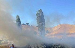 Kütahya’da yangında 3 büyükbaş hayvan telef...