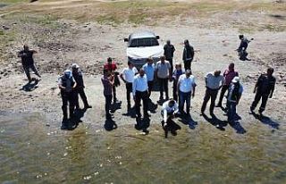 Kütahya’daki 14 golete toplam 229 bin balık yavrusu...