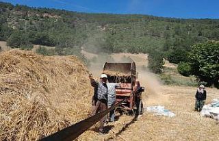 Kütahyalı çiftçiler patoz makinelerinden vazgeçemiyor