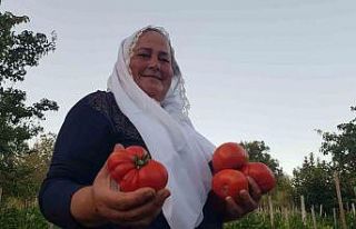 Lezzetiyle vazgeçilmez olan coğrafi işaretli maniye...