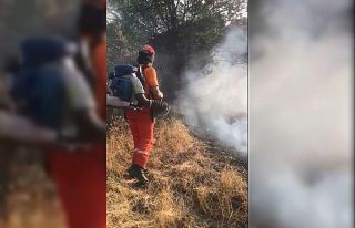 Lice’de örtü yangını 4 saat sonra kontrol altına...