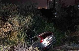 Lüks cip yeşillik alana düştü : 1 yaralı