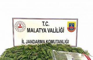 Malatya’da Jandarmadan uyuşturucu operasyonu