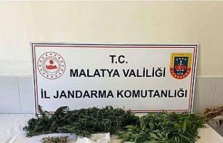 Malatya’da zehir tacirlerine geçit yok