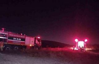 Maltepe’de çıkan orman yangını kontrol altına...