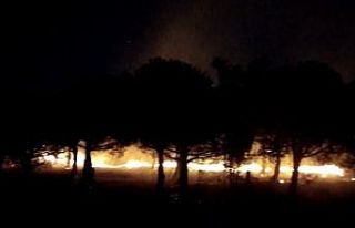 Maltepe’de orman yangını: Ekiplerin müdahalesi...