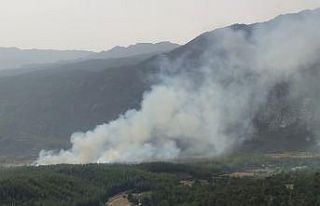 Manavgat’ta orman yangını