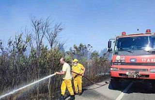Mangal ateşi yangına neden oldu