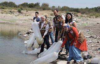 Manisa’da 890 bin sazan suyla buluştu