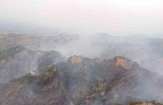 Manisa’da makilik alandaki yangın kontrol altına...