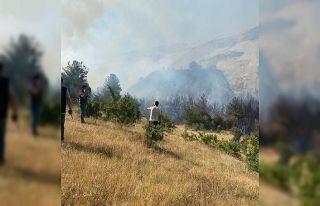 Manisa’da orman yangını