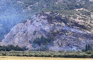 Manisa’da orman yangını bir saatte kontrol altına...