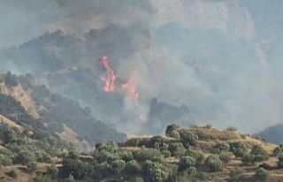 Manisa’da orman yangını havadan ve karadan müdahaleyle...
