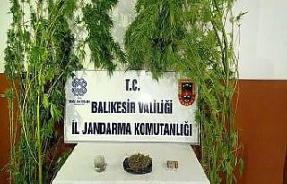 Manyas ve Erdek’te uyuşturucu operasyonu