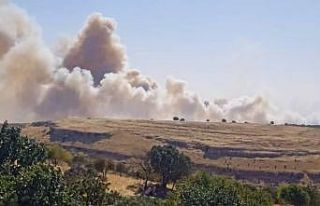 Mardin’de iki farklı noktada çıkan örtü yangını...