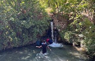 Mardin’de şelaleye düşen yaşlı adam hayatını...