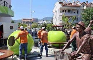 Marmaris’te dev saksılar ilgi çekti