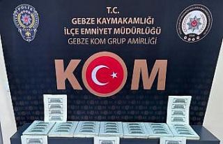 Matbaa kurup sahte dolar bastılar