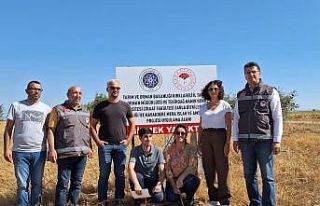 Mera alanlarında sıvı ve inorganik gübre deneme...