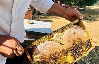 Merakla başladığı arıcılıkta, 70 kovandan binlerce...