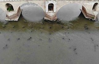 Meriç Nehri’ni kuraklık vurdu: Tarihi ahşap köprünün...