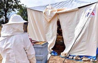 Mersin Büyükşehir Belediyesinden arıcılara çadır...