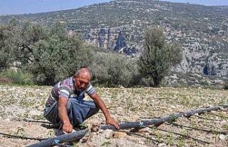 Mersin Büyükşehir Belediyesinin desteği üreticiye...